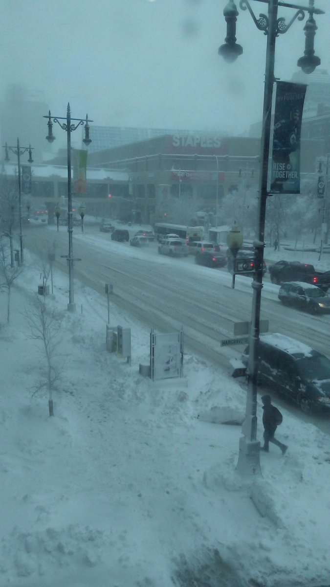 Amanda2Braids's tweet photo. Canada has a winter wonderland today #winnipeg #downtown 
and all that matters today is @NHLJets won last night ❤🌹 https://t.co/KkcbjL2Df0