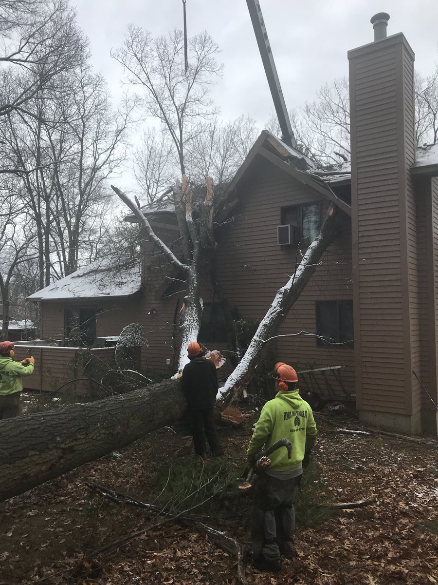 FerrisTreeSvc's tweet image. In Haverhill Today removing a fallen Oak tree from the back of a house.