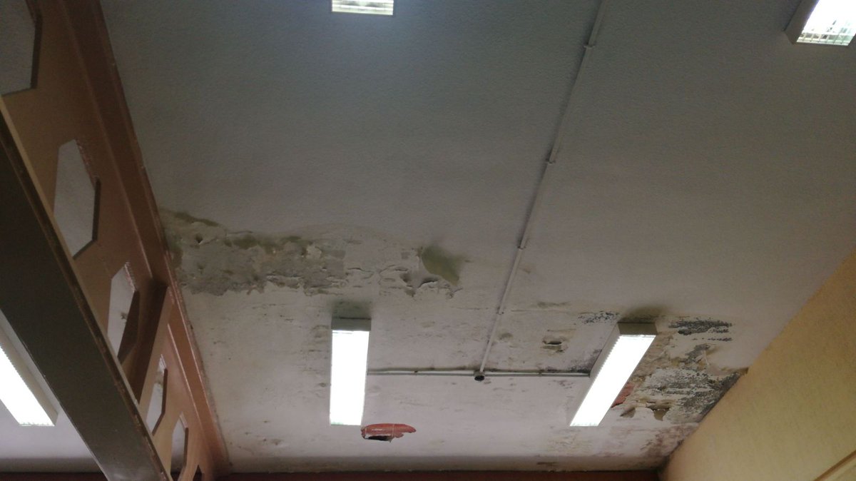 ¡En la Facultad de Psicología nos encontramos con esta situación!

Al filtrarse agua también se está formando moho en las aulas. Desde el Frente de Estudiantes denunciamos que los alumnos y alumnas tengan que estar expuestos/as a estas circunstancias 😠

¡POR UNAS AULAS DIGNAS!