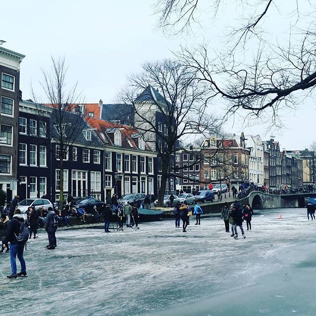 QueerlyNomadic's tweet photo. One more shot of the ice skating this past weekend in Amsterdam! ❄⛸❄ Temperatures are back up to springtime levels now, so we're off the ice and back on our bikes riding around the park. There's already some small flowers, and tulip season starts soo… https://t.co/D9RTju0UOJ https://t.co/uqGZ2BTh16