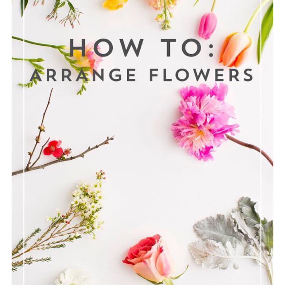 laurieatAT's tweet photo. Have you caught the DIY bug like us? Grab a friend &amp; join us at 1 of our upcoming workshops to learn the art of flower arranging.  When blooms, bubbly, &amp; best friends are involved u know it is going to be a good time! #gno         https://t.co/1QUAC6Cctv https://t.co/4HdP0aqwmQ