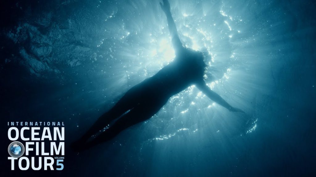 surfholland's tweet photo. OCEAN FILM TOUR - https://t.co/3LDcT853cs https://t.co/GhxjpFEGJl