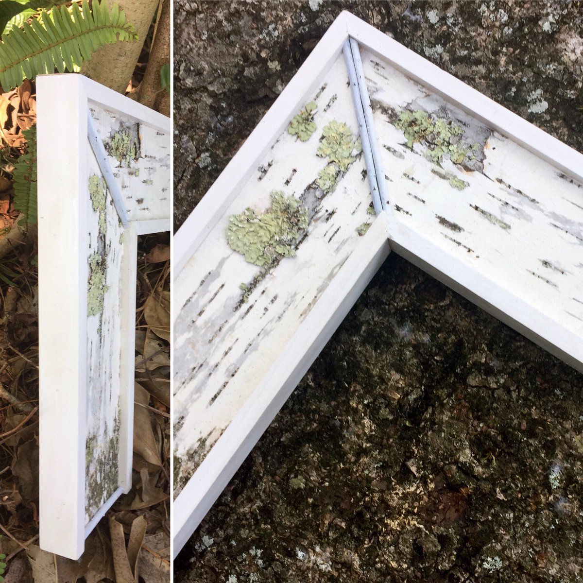 framemasterrob's tweet image. Modern Nature. #trees #nature #Frame #contemporary #forests #designthinking #modernhome #fun #design