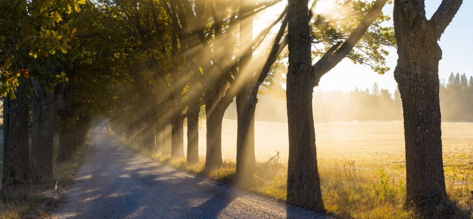 WildDuckCMO's tweet photo. How to Take the Best Breaks During Your Workday, and Why You Should Never Skip Them https://t.co/koU3YIzulz https://t.co/l0LznxR9rl