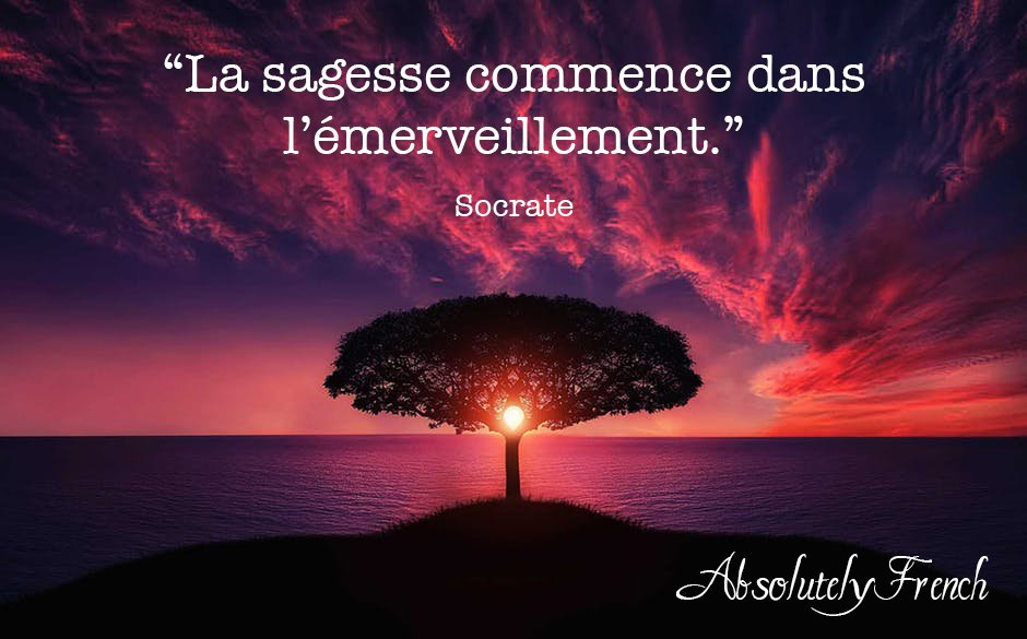 AbsolutelyFrenc's tweet photo. #motdujour : sagesse
#WordOfTheDay #quote #citation #frenchlanguage #learnfrench #learndifferently #learnfrenchinparis #SchoolOfFrench #learnfrenchwithfun #learnfrencheasily #enjoylearningfrench #frenchcourses #expats https://t.co/Umvqsxozjt https://t.co/W7bjUR39rb