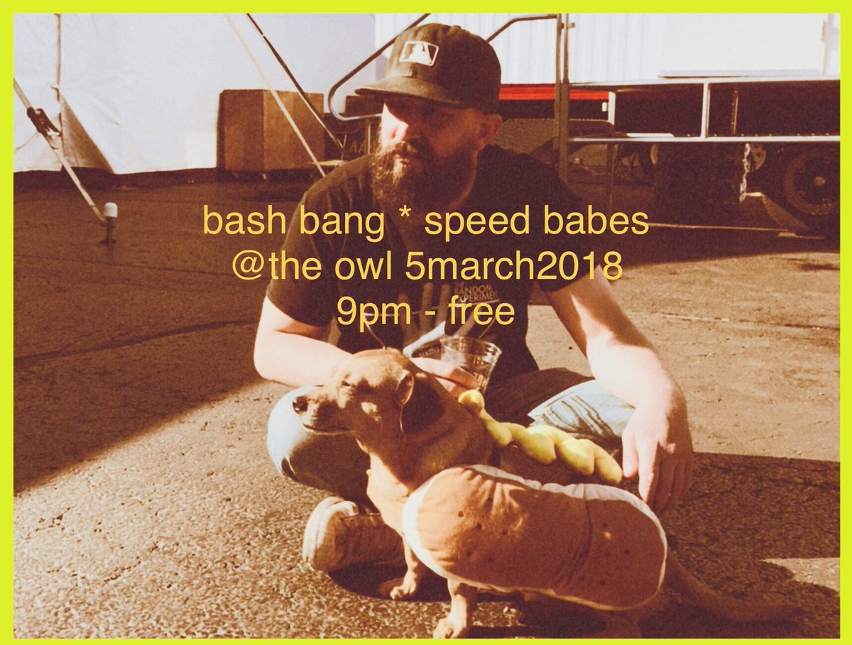 The Owl🦉Logan Square tweet media