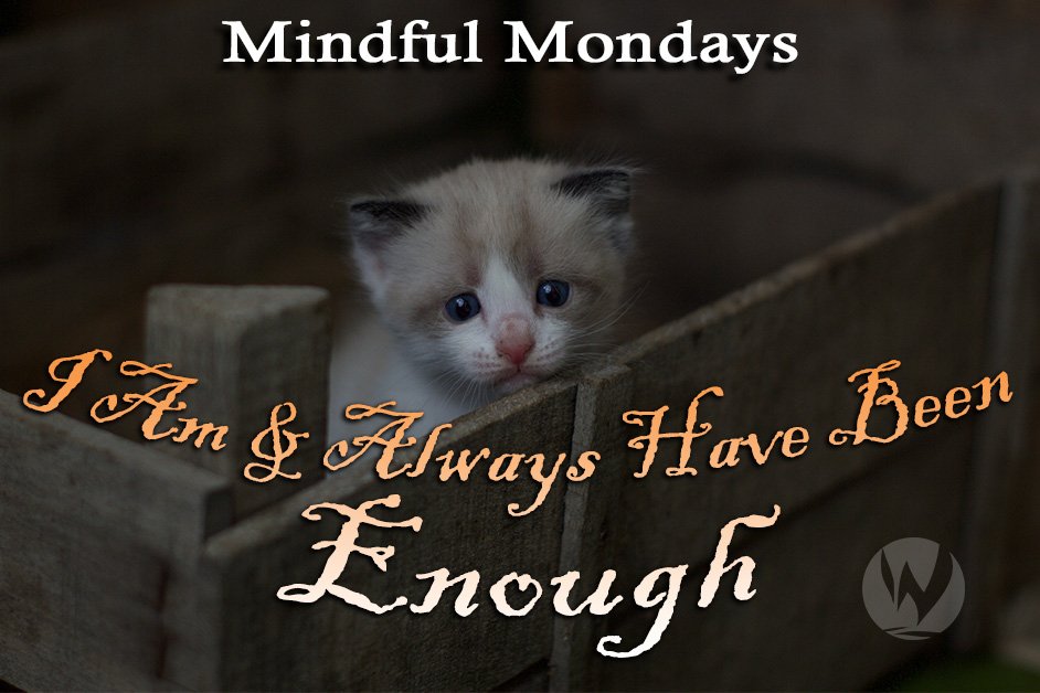 thechrisohearn's tweet image. Hear the rest of this thought by listening to the full podcast at The Strong Within Daily Affirmation Podcast at your fave podcast place or my site
chrisohearn.com/429-always-eno…

#podcast #strongwithin #ChrisOHearn #youarenough #youareworthit #affirmation #selflove #knowingyouaremore