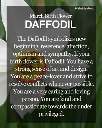 Happy Birthday to all the March birthdays! Here is some “about you” floral information.