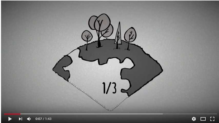 PEFCSpain's tweet photo. ¿Qué podemos hacer para proteger nuestros bosques 🌳🌲? En éste vídeo te lo contamos 👉https://t.co/NsIm7WkDrZ
#PEFC #bosquessanos #bosquessostenibles #consumoresponsable https://t.co/NaHPqRxKz1