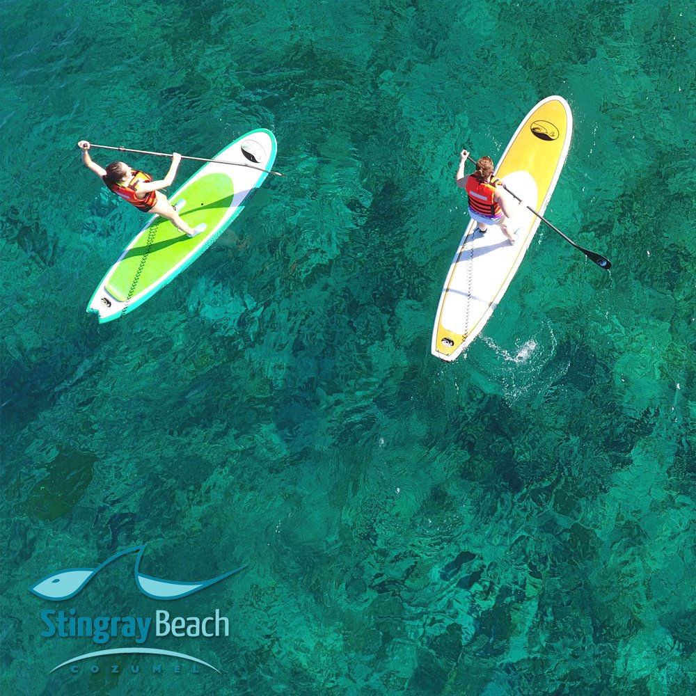 StingrayCozumel's tweet photo. SUP the Caribbean Sea on your next visit to #Cozumel Island. Just 5 min away from the Cruise Ship pier!
#StingrayBeachCozumel 
#Cruise #Travel #MondayMotivaton 🏄‍♀️ https://t.co/OOMcXrTHrv
