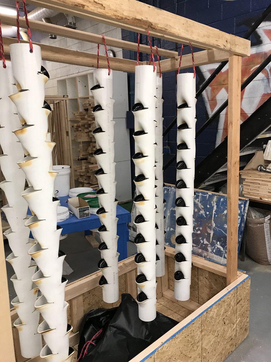 GRHSTechEdSJ's tweet photo. Senior Capstone student Chase Conover well on his way with a custom designed vertical hydroponics growing system with over 150 planters #groworganic #hydroponics #aquaponics #verticalgrowingsystems @gateway2careers @Official_GRHS @HydroFarmUSA @Grodan101 @Botanicare @GrowWithLED https://t.co/P8Xhmjilmh