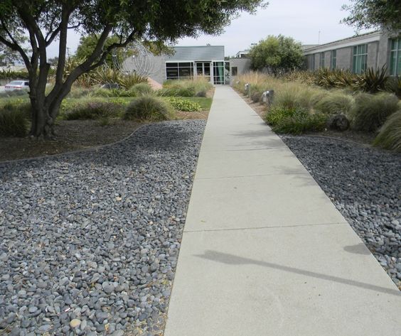 Black Mexican Beach Pebbles range from about 3/4" of inch through about 2" in size. Choosing the correct size for in relation to scale of the landscape and plant material is critical. For more information about our products visit our website earthstonerock.com