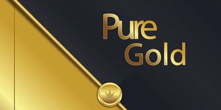 TechCompanyNews's tweet image. .@PuregoldICO - First #Payment Gateway To Use #Gold-Backed #Tokens techcompanynews.com/puregold-io-an…