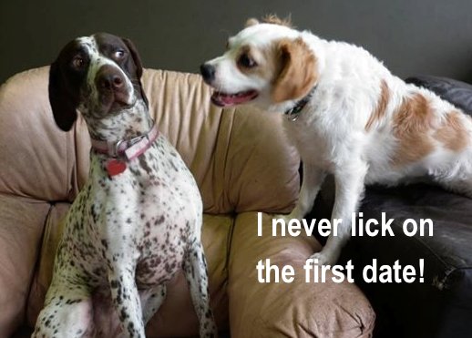 WeLoveDogsUSA's tweet photo. A very polite pup on a first date!

@TheLuckyPupp @mesmitch #dogcelebration @j_zeverino @m_yosry2012 
@HamillHimself @invisibleman_17 #mydogiscutest #nuzzies 
@Berti_and_Ernie @Rossmac212 @WynneGuglielmo @dogandpuplovers 
@EmiForLove @ellelljaytoo @Dogzprinted  @CUTEFUNNYANIMAL https://t.co/WMrx41KNyH