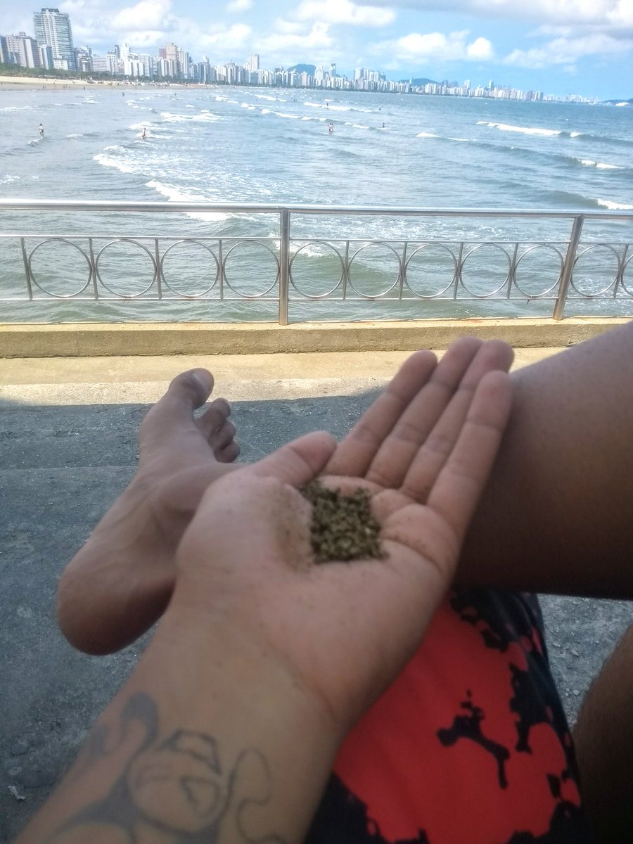 magrin013's tweet photo. Em algum lugar pra relaxar... eu vou pedir pros anjos cantarem por mim🎵🔥 https://t.co/1cxuG6uIMq