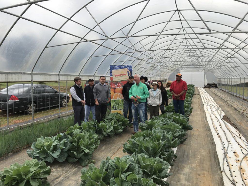 Jim_McAdory's tweet photo. Choctaw Fresh Produce growing in many ways. @MSUExtService @PlantPhD https://t.co/SbWTQK7rv1