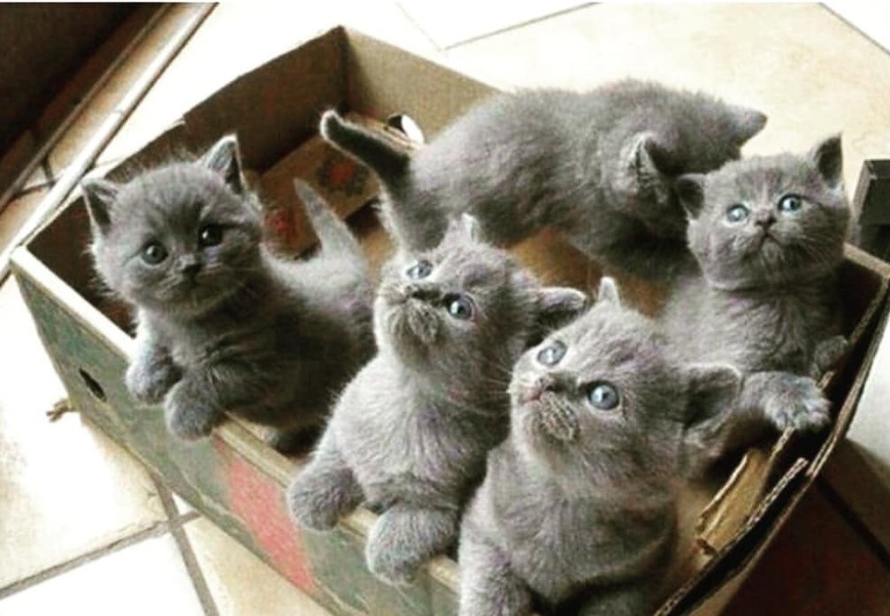 80Saida's tweet image. 