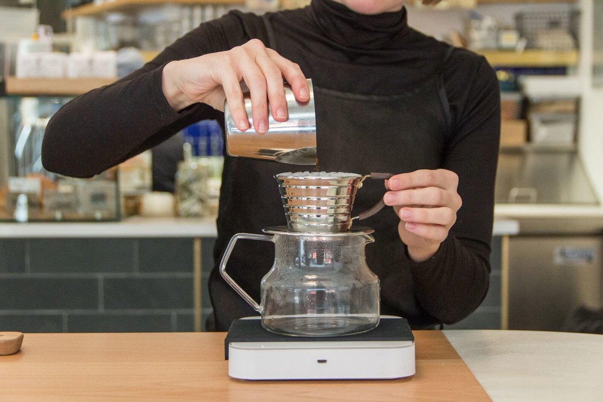 You don't have to be a trained barista to know you love great coffee. We only offer our most favorite and frequented tools. Link in bio!