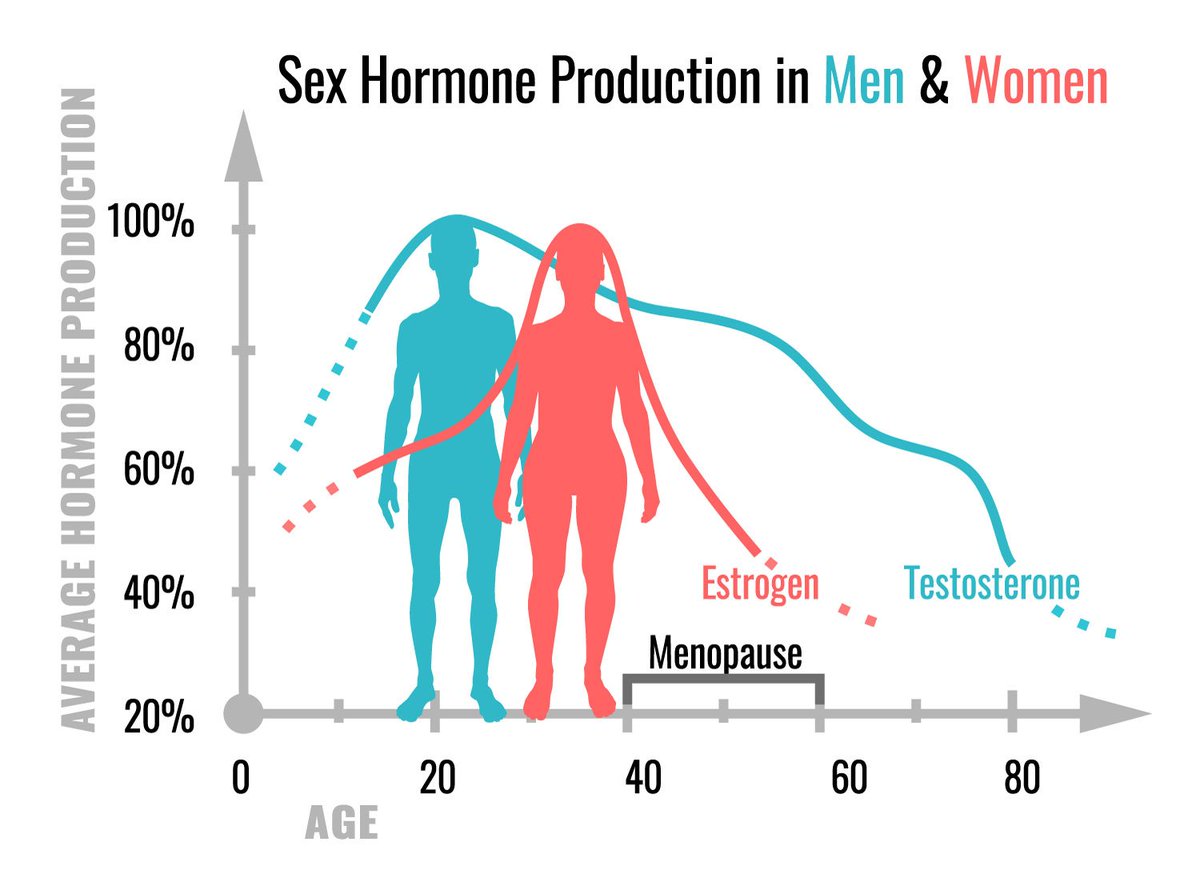 Healthorganization On Twitter Sex Hormone Production In Men And Women