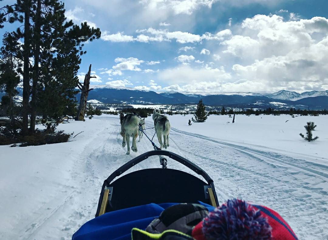WinterPark's tweet photo. What's your favorite way to enjoy a trail? Around here there are quite a few options.
📷 IG: rivermysunshine #WinterParkResort #TopAdventureTown https://t.co/Tum2k2FDCY