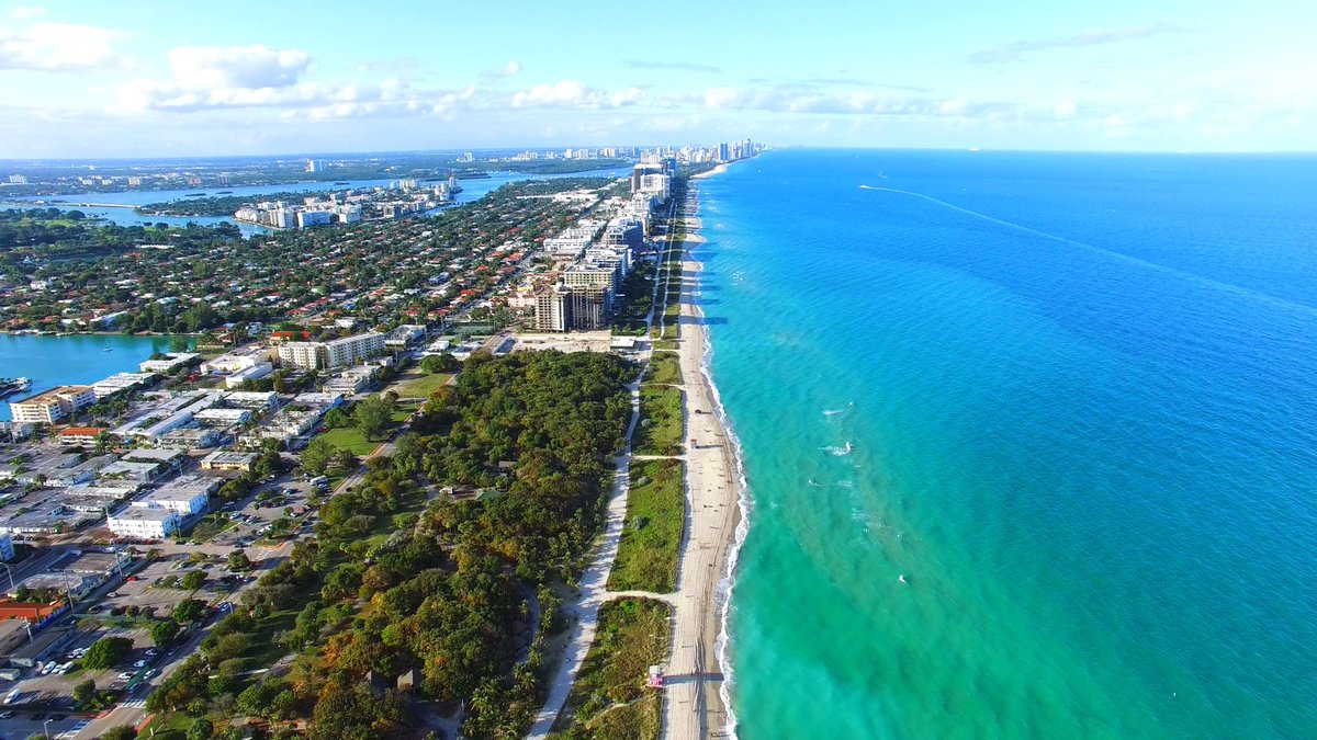 DAlLYTUMBLR's tweet photo. Floride, État des États-Unis 🇺🇸 https://t.co/1oX9nhE1MU