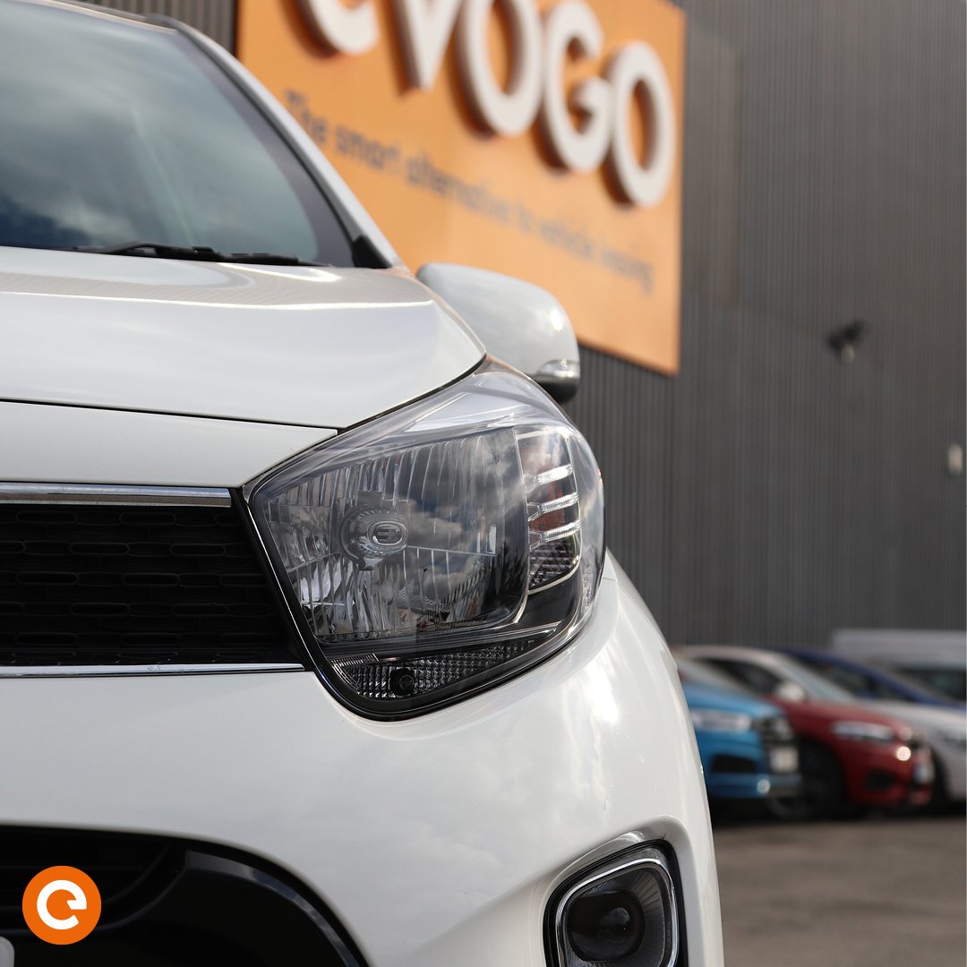 DriveEVOGO's tweet photo. A city car that packs a punch - Grab a brand new KIA Picanto from just £190 per month on super-flexi rental. 🎉 🎉 🎉 #newcar #rentals 
Find out more about how to #goEVOGO : https://t.co/ciKLfhLi7Y https://t.co/uYtVT8AwZj