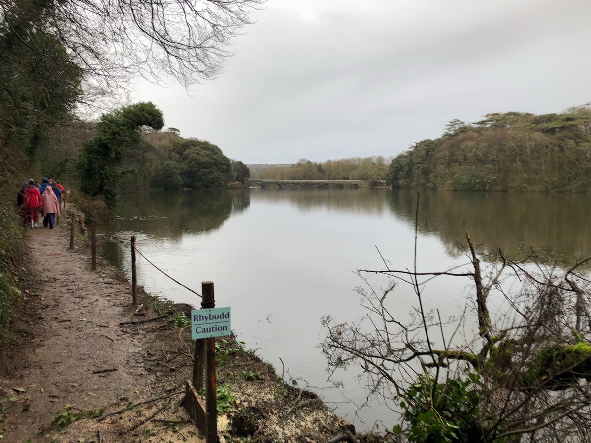 gladstonebarry's tweet photo. What a wonderfully wet walk โค๏ธ Loving Stackpole already #HappyChildren #TeamYear6 #BackForTea https://t.co/yBjG6X3gAG