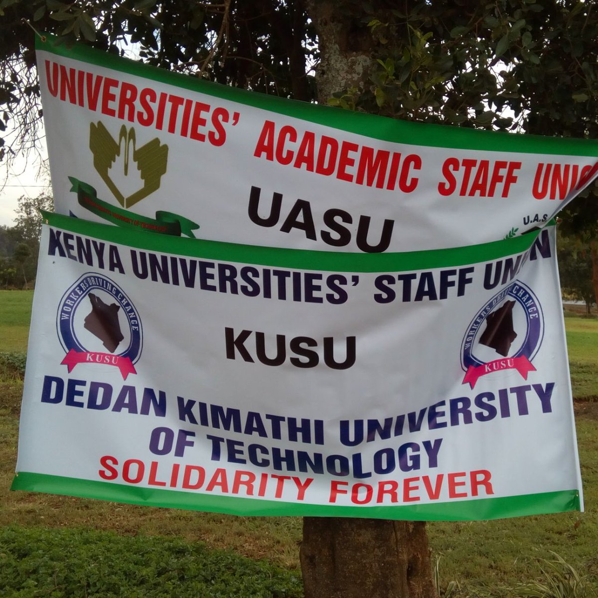 UASU_Kenya's tweet photo. Today KUDHEIHA Workers launched strike. All Kenyan public university workers unionized under UASU, KUSU and KUDHEIHA are on strike to press for the negotiation and signing of the 2017-2021 CBA. #lecturersstrike #LecturersStrikeKE https://t.co/EpxDMoWYt0