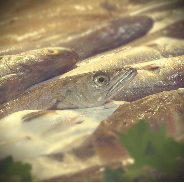 ClickAlMercat's tweet photo. FINALISTA INSTAGRAM #CLICKALMERCAT 2018: @vlc_moises amb la #Serie1Ullets mostrant alguns dels animals amb els ulls mes xicotets que trobem als mercats municipals. Felicitats!!
#finalistesinstagram #finalistesclickalmercat
#clickalmercat #vineifesclick
#valènciabonica https://t.co/lLAV1FWzV2