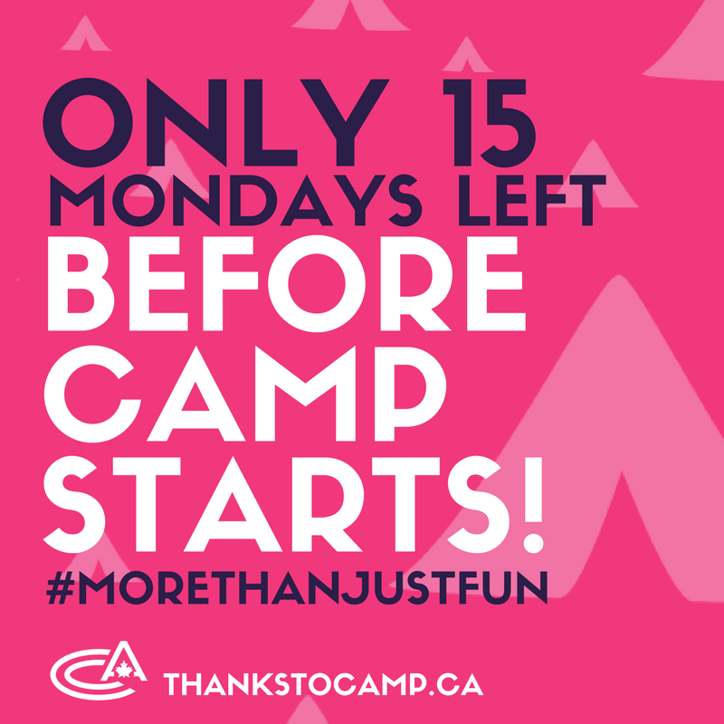 ThanksToCamp tweet picture
