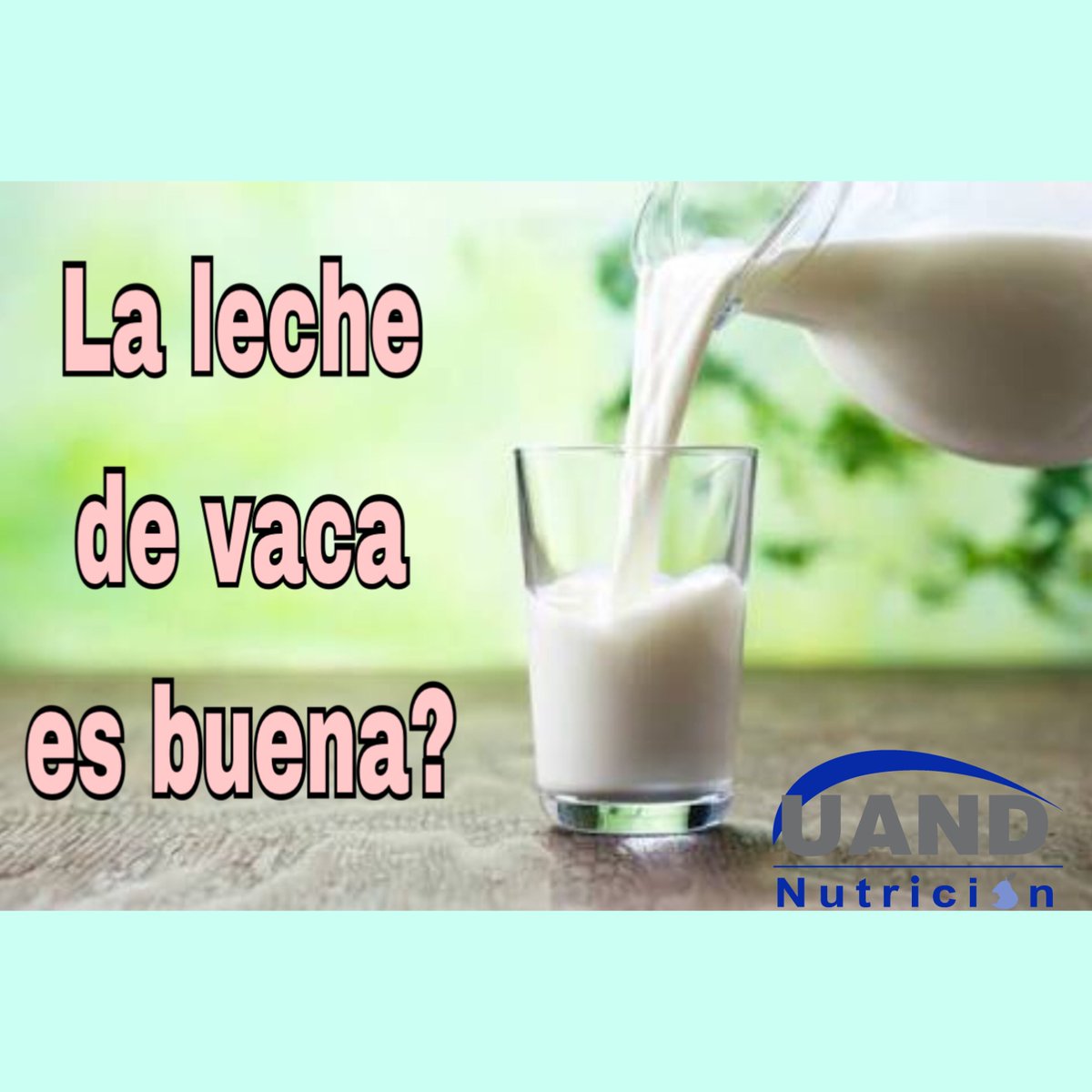 NutricionUAND's tweet photo. 🍐La leche de vaca contiene calcio, fósforo, magnesio, zinc, yodo, selenio y vitaminas A, D y del complejo b, vitamina B12.
🍐Por el o, es buena para mantener unos huesos fuertes y sanos y prevenir la osteoporisis. Además, es hidratante y saciante y proporcioan energía. https://t.co/Fi6W4fX0fw
