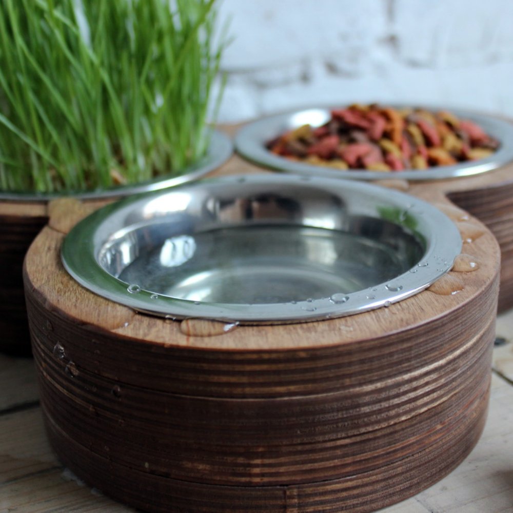 CatPlayFurnitur's tweet photo. Make useful thing for yor cats
.
.
.
#petsuppliesplus #petaccessories #cattreats #cataccessories #catbowls #catfeeders #kittensupplies #modernpetfeeder #catlover #catlovers https://t.co/rqOQxS3Alh https://t.co/9Z3gdItMnU