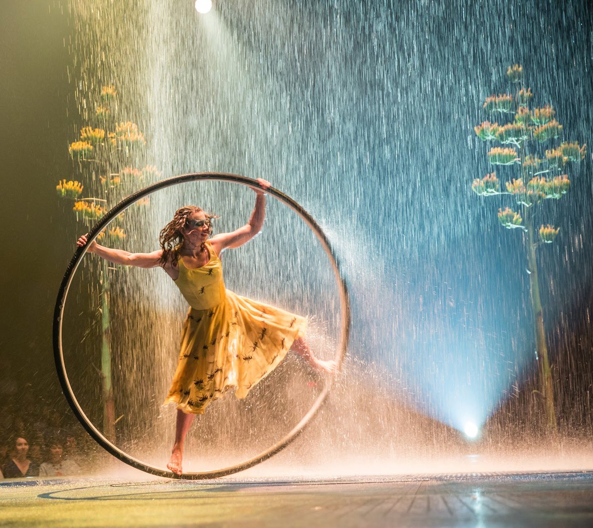 RiselahENG's tweet photo. My review of #Luzia 'A dive into the real Mexico'  https://t.co/fyWd3AAp5x #FromAnother0 #OC #CostaMesa #CirqueduSoleil @Cirque https://t.co/B1U7k9iu4V