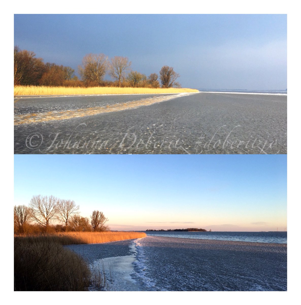 De zon kleurt Muiderberg strand, IJmeer
Boven: zondagochtend 4 maart 09:15 uur
Onder: zondag 25 februari 07:59 uur. Foto: Johanna Doberitz #doberitzjo <a href="/GooiseMeren/">Gooise Meren</a>