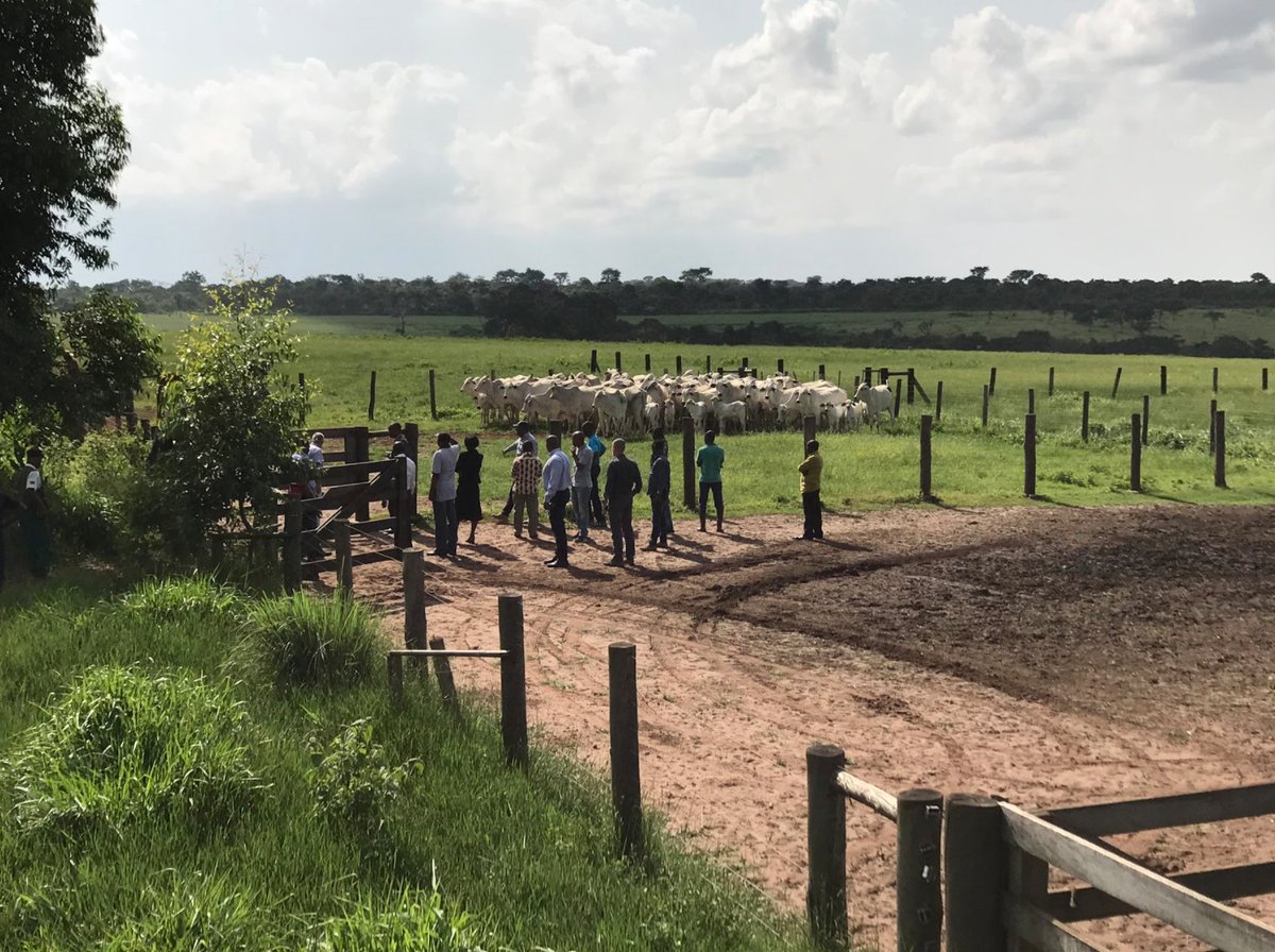 A <a href="/fazangola/">Fazangola</a> pretende ser um actor de longo prazo no sector da #agricultura em #Angola ao implementar as melhores práticas internacionais que visam melhorar e reduzir o impacto social e ambiental respectivamente.