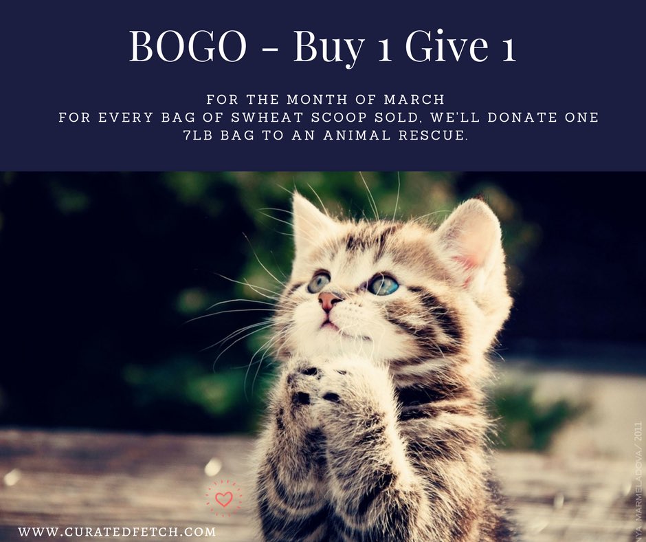 curatedfetch's tweet image. 