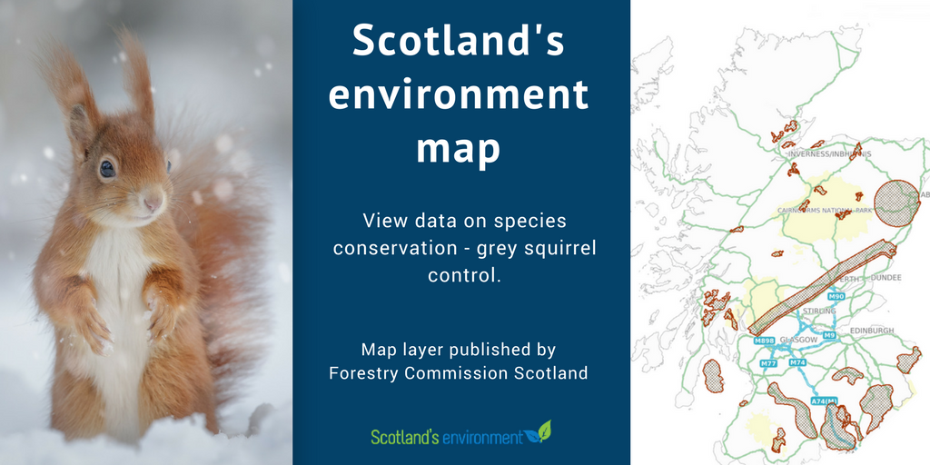 ScotEnvironment's tweet photo. Saturday was #WorldWildlifeDay & #OpenDataDay. Wildlife & open data feature heavily on #Scotenvironment map. View @FCScotland data that supports Forest Grant Scheme applications targetting grey squirrel control where they are a threat to red squirrels https://t.co/yqH09v6N3i https://t.co/I5gBA8zymV