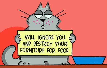 purringtonpost's tweet photo. Cat wanted ad. <3 https://t.co/jYgLY2C9St