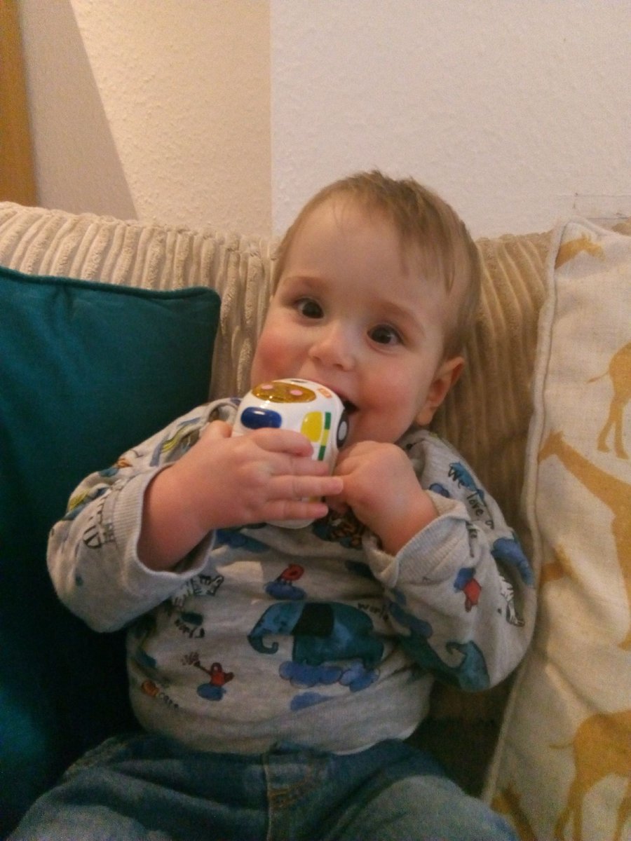 ANTS 🚑 tweet media