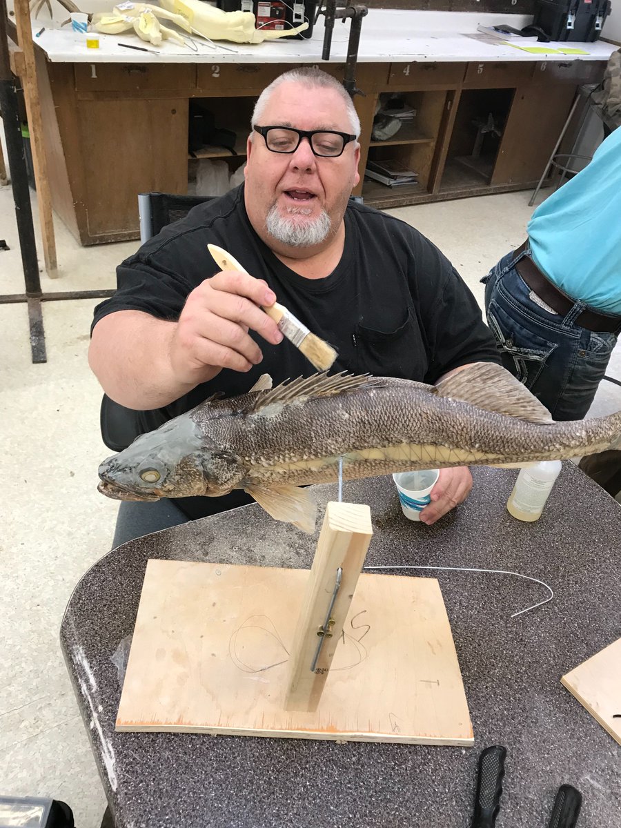 MatuskaSupplyCo's tweet photo. Congratulations to our students who are in their final week of class at the Northwest Iowa School of Taxidermy! #taxidermy #learntaxidermy #taxidermyschool #taxidermyinstruction #taxidermytraining #northwestiowaschooloftaxidermy https://t.co/J9kHfnrg3X