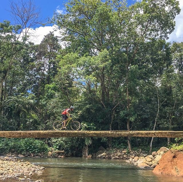 RawBotanicals's tweet photo. #mountainbiking @rioperdido #simplicityplan https://t.co/9OjVeSDUPY