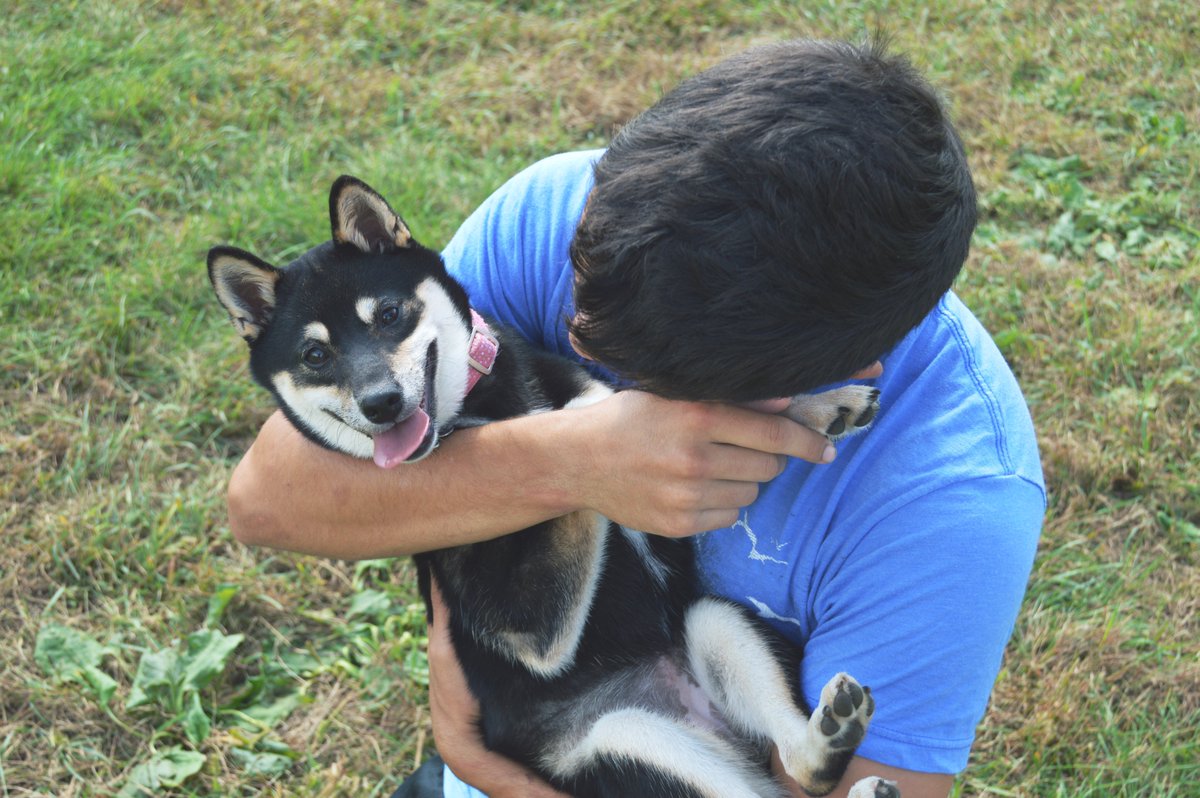Would rather be playing with puppies than studying for midterms! One more week until spring break, you got this ☀️#HSHmagazine