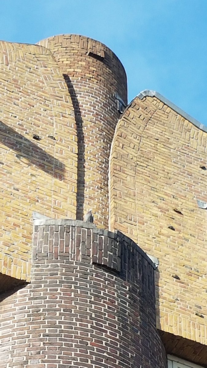 marcelbar8's tweet photo. #Architectuur | #architecture

#Amsterdam - #Vrijheidslaan

Fraai staaltje van de #AmsterdamseSchool #photography #bouwkunst #art #design @wndngn https://t.co/PaMvGdKbzU