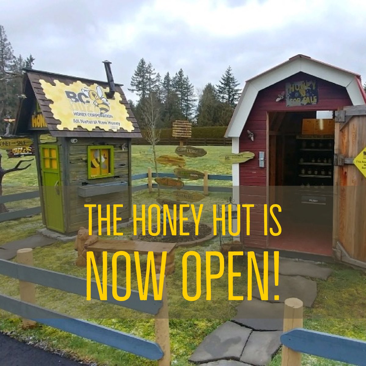 The Honey Hut is now open! Visit our outdoor Honey Hut  at 6321 248 St, Langley, BC for some great Honey, and take a selfie too! Tag us and you could win some free honey! #honey #shoplocal #natural #honeyhut