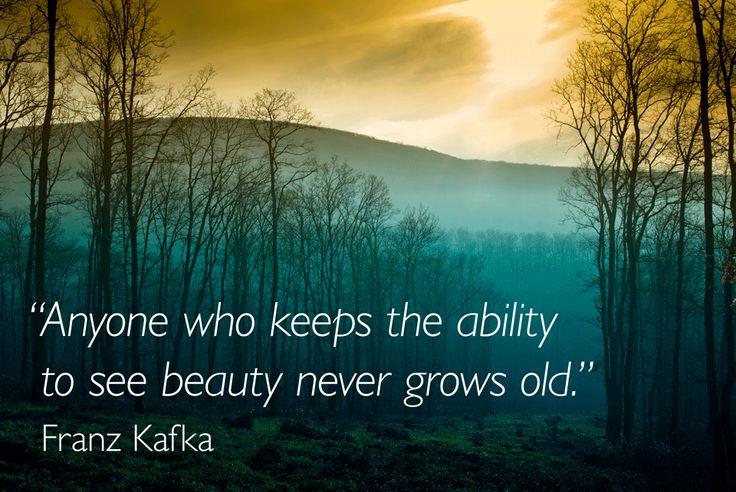 sharemailme's tweet image. &quot;Anyone who keeps the ability to see beauty never grows old.&quot; - Franz Kafka