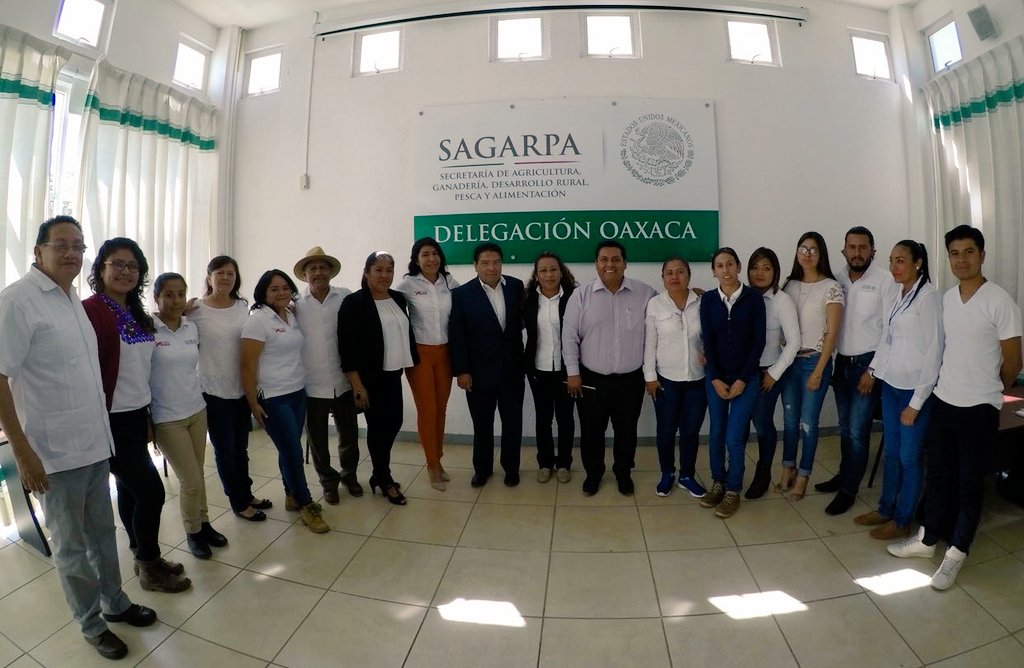 RigobertoGomez_'s tweet photo. Saludo de arranque de @AdolfoToledo_ delegado de @SAGARPA_Oax a técnicos de #ElCampoEnNuestrasManos quienes reciben capacitación operativa 2018 @SAGARPA_mx @ppcalzada @ramirohdezg @jesusalcantaran @paulinaescobedo @MujeresCampo @MujeresCampoOax https://t.co/qWTQ4XjW3w