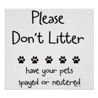 FatKatzAbq's tweet photo. Each year millions of unwanted and homeless pets are killed in shelters. Become part of the solution, not the problem. 

Ask us how we can HELP YOU with spay or neuter. Email us today!
fatkatzabq@gmail.com https://t.co/wu6yXIP3fz