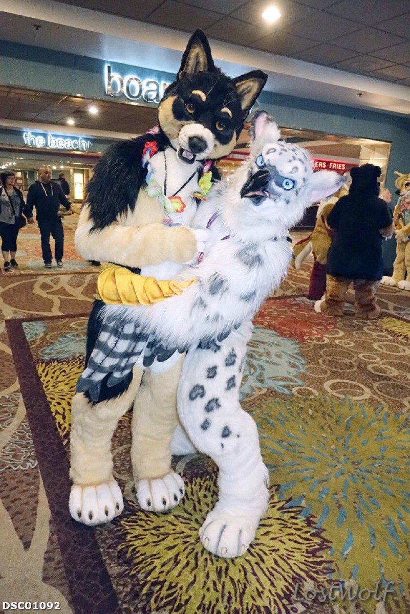 After carrying <a href="/dogbomb1/">Peaceful Paws</a> around BLFC for much the day, I put him back down.

📸: <a href="/LostWolf321/">LostWolf ❤️🐶 💣</a>