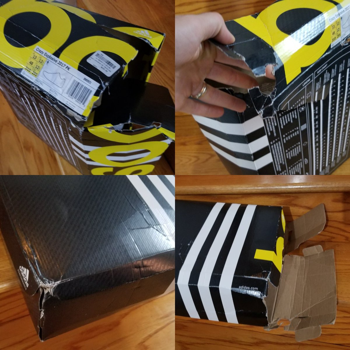 autoaddict24_7's tweet photo. @footlockercad @adidasHoops @adidasCA @adidas @champssports @Footaction even after many attempts through all mediums, they still send me cookie cuter responses with no acknowledgement of fault despite the shipping package being in perfect condition. This has been a horrible customer experience https://t.co/PobrG2Zl11