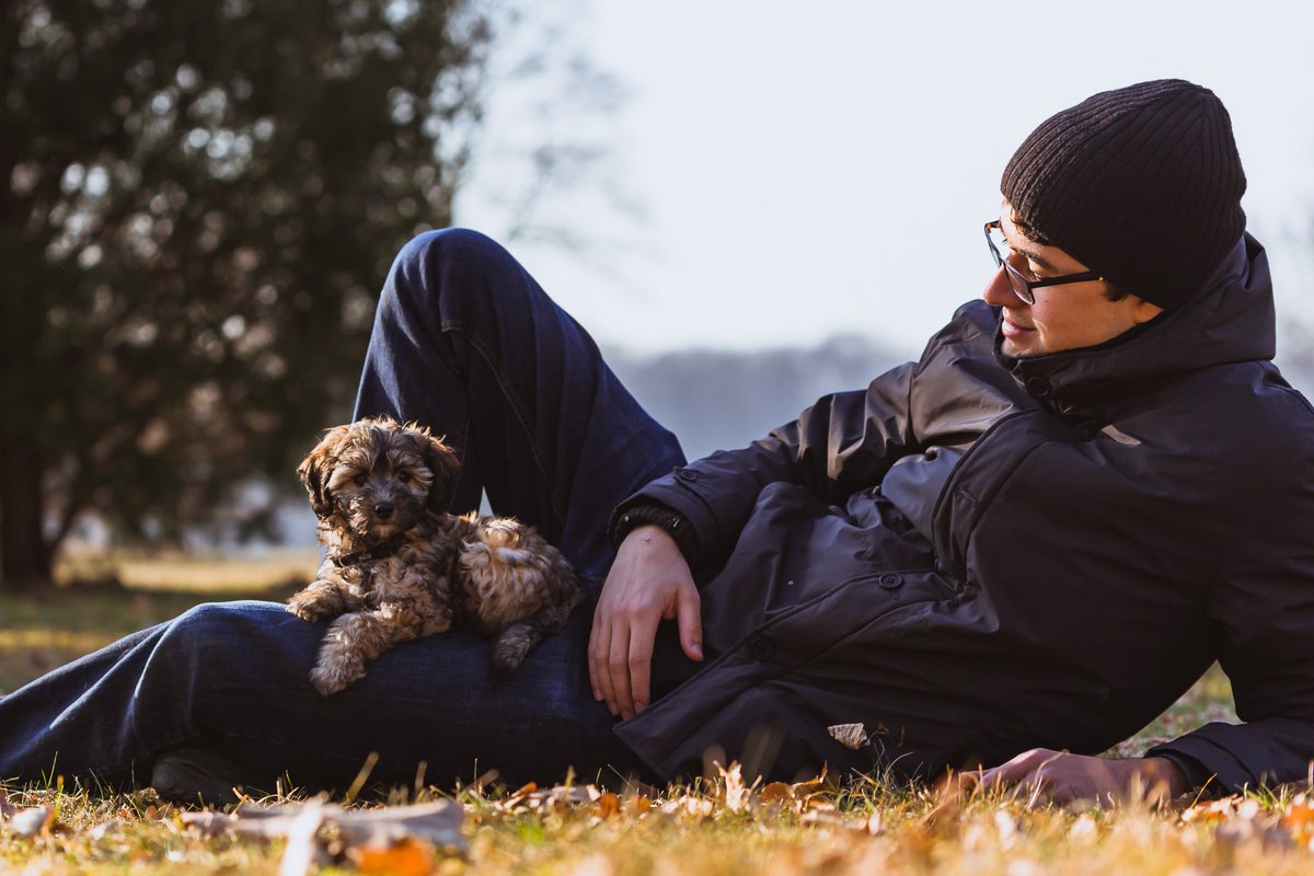 My herd has been extended! 
Meet Zita, currently 10 weeks old. More photos here: instagram.com/i.am.zita/